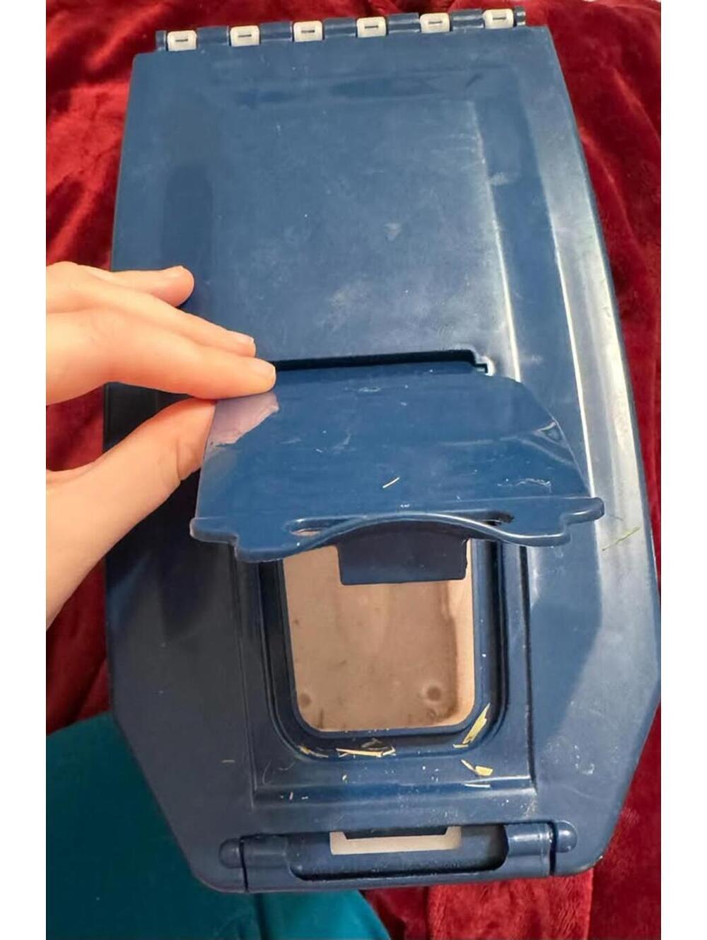 4lb Pet Food Holder/Dispenser - Picture 3 of 4